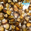 Vongole vive sostenibili e carne congelata pulita