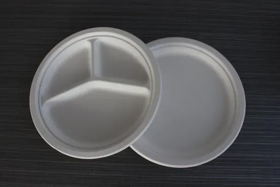 Eco Friendly 9 Inch 3 Compartment Bagasse Plate