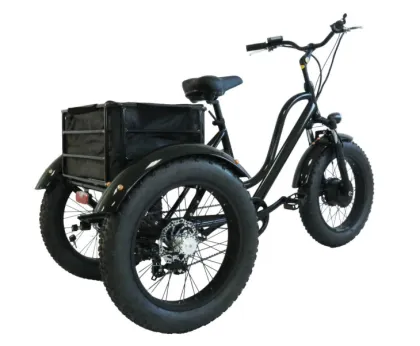hall sensor rangka beltdrive electric tricycle