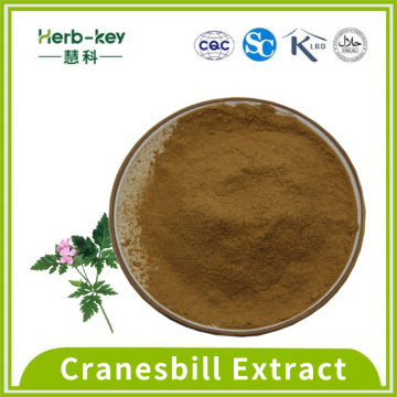 Flavonóides que reduzem o colesterol 10: 1 Extrato de Cranesbill