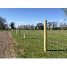 steel Farm filed fence hinge joint cattle fence