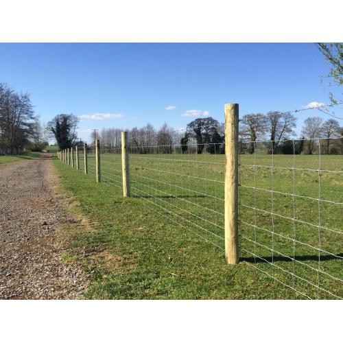 steel Farm filed fence hinge joint cattle fence