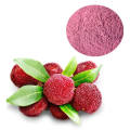 Bayberry 껍질 추출물 분말 디 하이드로 마이 리 세틴 DHM 분말