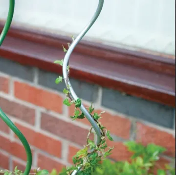 China Tomato Spiral Stake Wire 8mm 1.5m