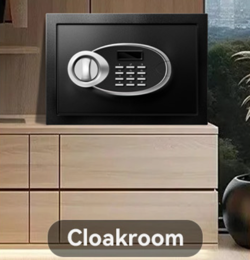Small Security Safe with Programmable Electronic Keypad