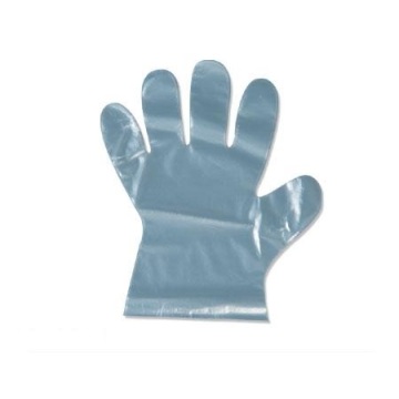 PE Gloves