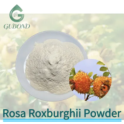 Rosa Roxburghii Fruit Powder for Vitamin C