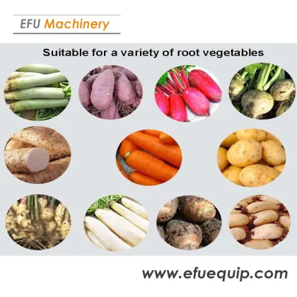 Brush Vegetable Washing Machine