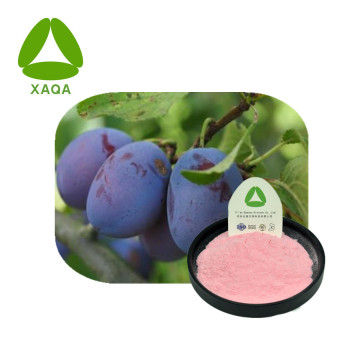 Polvo de fruta de ciruelo oscuro halal orgánico natural natural