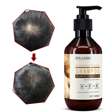 Herbal Natural Ginger Hair Growth Shampoo for Anti-Hair Loss - Private Label Products