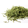 Extrato de chá verde para suplementos dietéticos