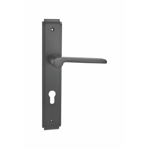 Professional high quality zinc door handle on plate