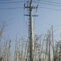 Distribution Pole Hot Dip Galvanized Steel poles distribution pole Supplier
