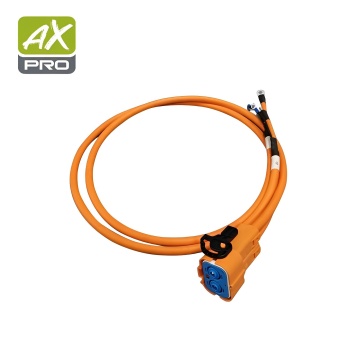 Electric Vehicle Wiring Harness and Car Charging Plug Connection Wire