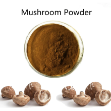 Buy online active ingredients price Mushroom Powder