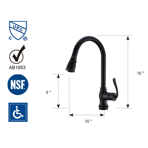 Premium Black All-in-One Pull-Down Faucet