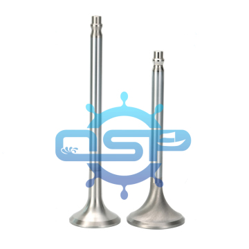 Russia Locomotive D50 Diesel Engine Parts Engine Valve D50.09.010 D50.09.009