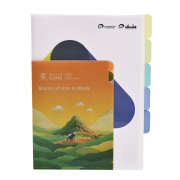 Custom Wholesale A4 A5 Office File Folders with Pockets for Students and Business