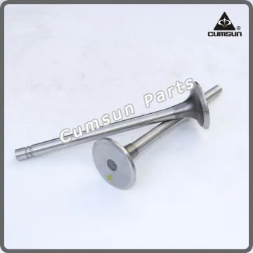 Diesel Engine NT855 Intake Valve 3803512