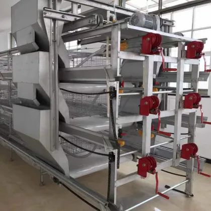 Automatic Poultry Breeding Equipment for Egg Layer Chicken Farming in Congo