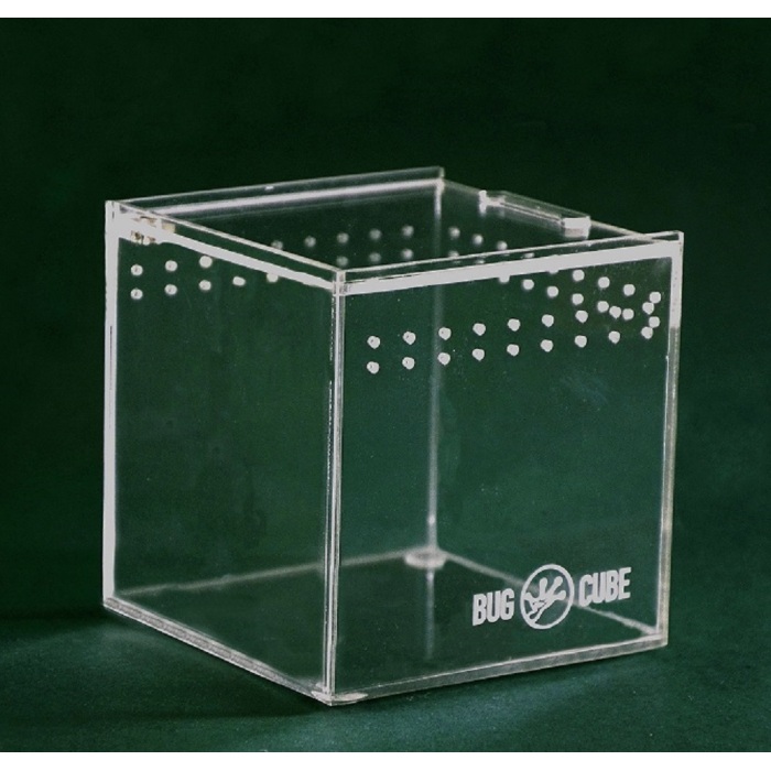 Caja de cría de escarabajo acrílico extra grueso