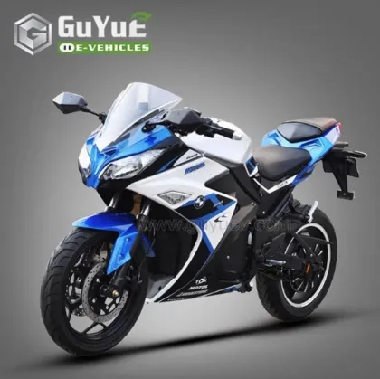Adult Off Road Street Electric Motorcycles