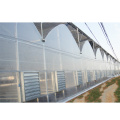 Agricultural intelligent film multi span tomato greenhouse