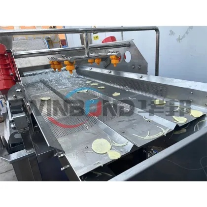 Fruit and Vegetable Washing and Peeling Machine
