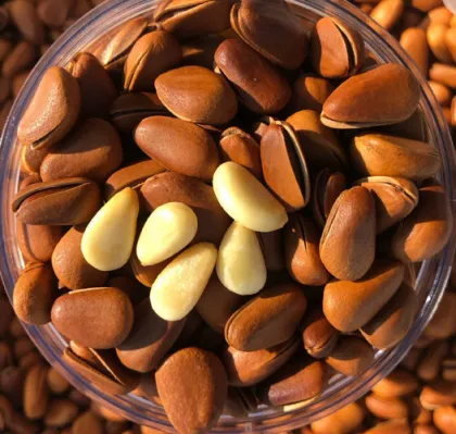 Delicious Pine Nut Gift Box