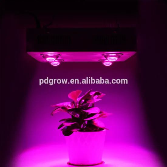 grow light led bulb agriculture indoor plant,4pcs cob 100W epistard led not dimmable led grow light