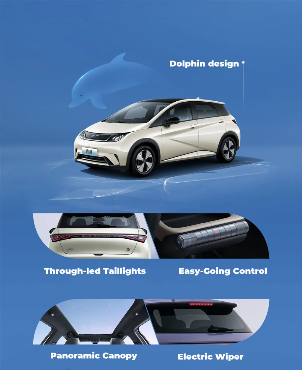 Small Pure Electric Vehicle Byd Dolphin