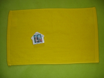 House Shape 100% Cotton Plain Compressed Towel (YT-645)