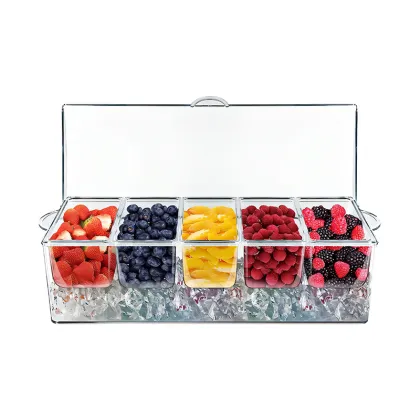 Ice Chilled 5 Compartment Condiment Server with Lid
