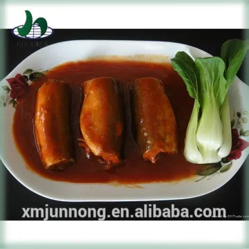 Chinese newly introduced canned mackerel in tomato sauce