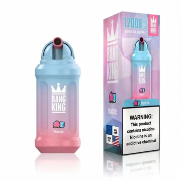 Bang Vape Bang King 12000 Puffs nous jetable