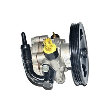 Vendita calda Great Wall Voloex C10 C20 Pompa booster sterzo