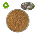 Macleaya Cordata Extract Powder Sanguinarines 60% price