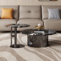 Modern Marble and Titanium Coffee Table Set