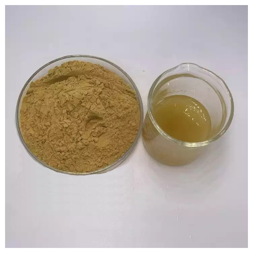 Water Soluble Honeysuckle Flower Extract Chlorogenic Acid