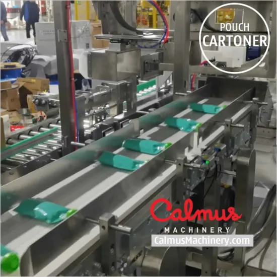 Case Packer Pouch Cartoning Line for Packaging Doypack Bags