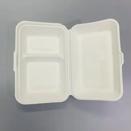 Bento Box Disposable Takeaway Eco Disposable Lunch Box