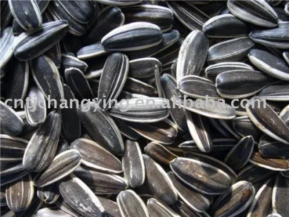 sunflower seeds