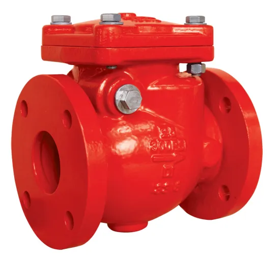 300psi Flanged End Swing Check Valve