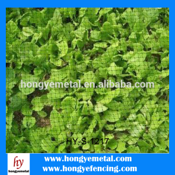 Price of anti bird net in agricultural netting