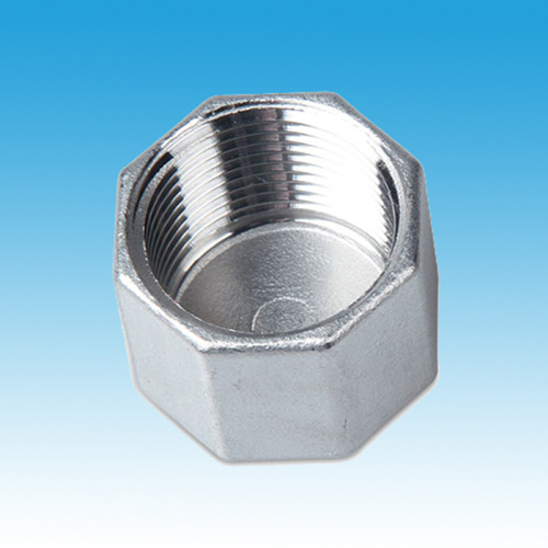 Inox Hexagon Cap Fittings