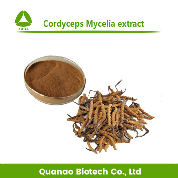 Cordyceps Mycelia Extract Cordycepin 98% Powder Price