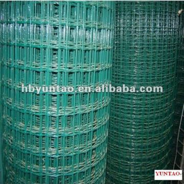 Europe Welded Wire Mesh in Rolls