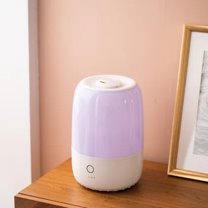 OEM Decorative Air Humidifier for Home and Car