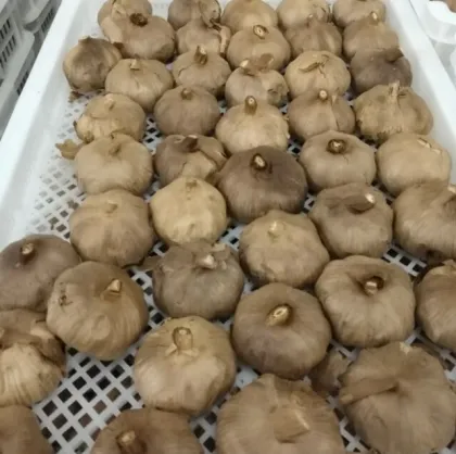 unpeeled whole Black garlic without allicin