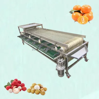 Orbital Type Stainless Steel Olives and Fruit Sorting Machine